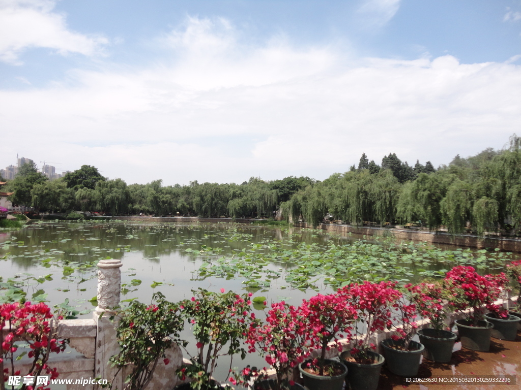 公园风景