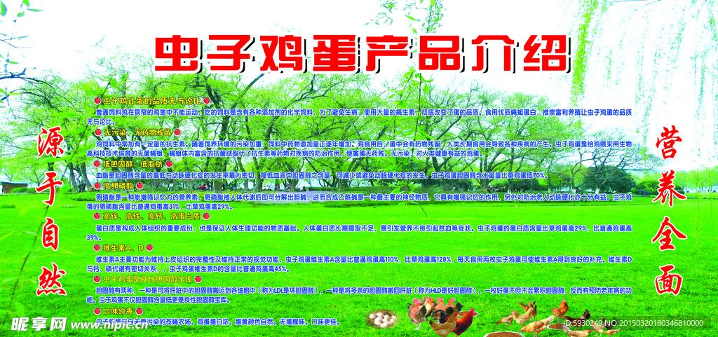 虫子鸡蛋