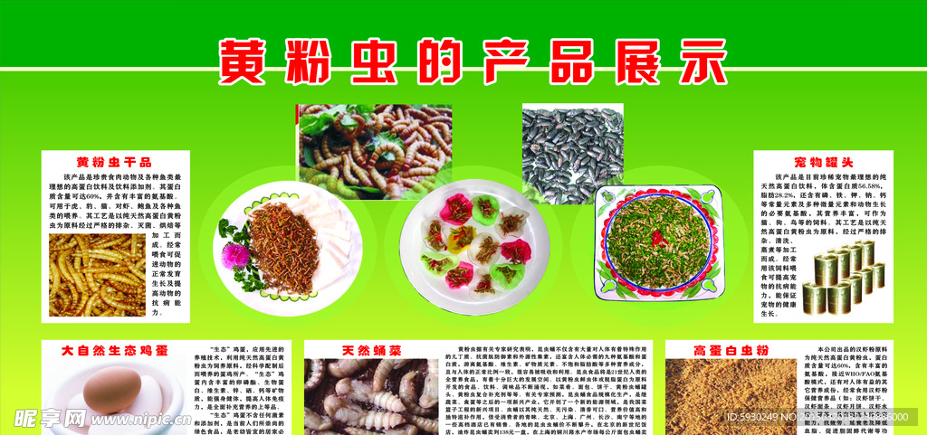 虫子鸡蛋