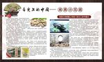 房县小花菇