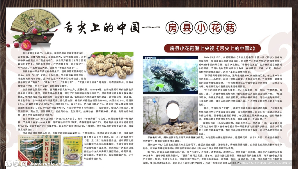 房县小花菇