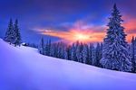 雪景