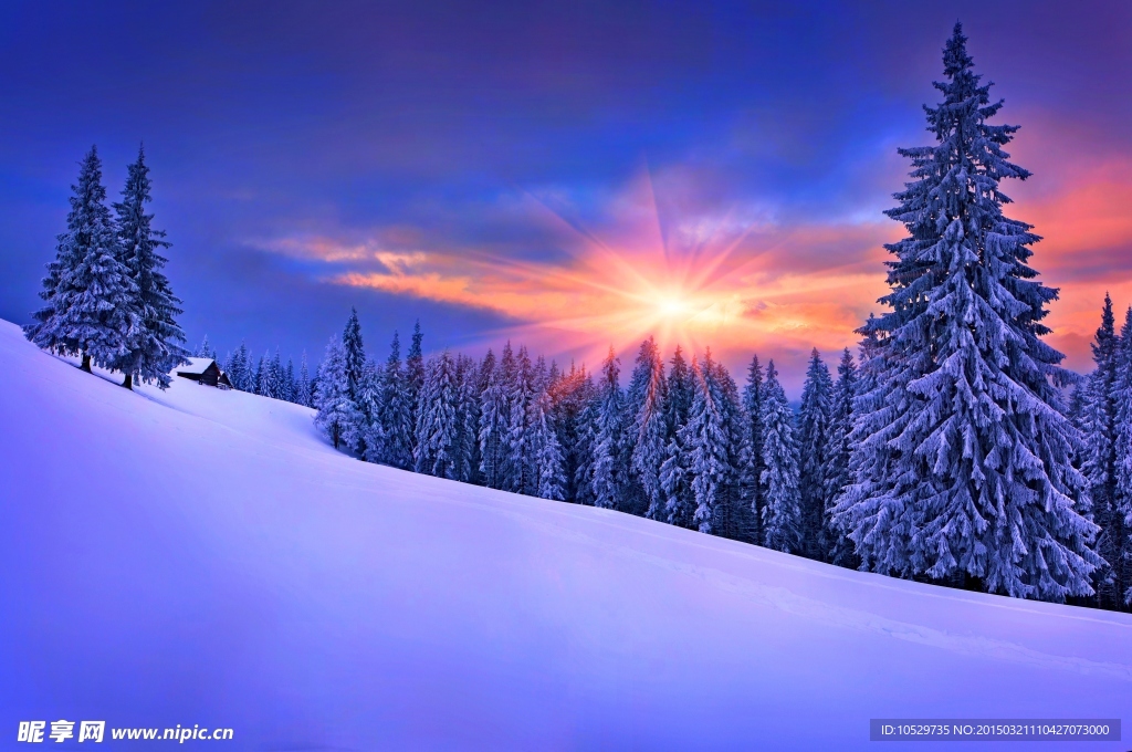 雪景