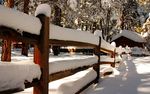 雪景
