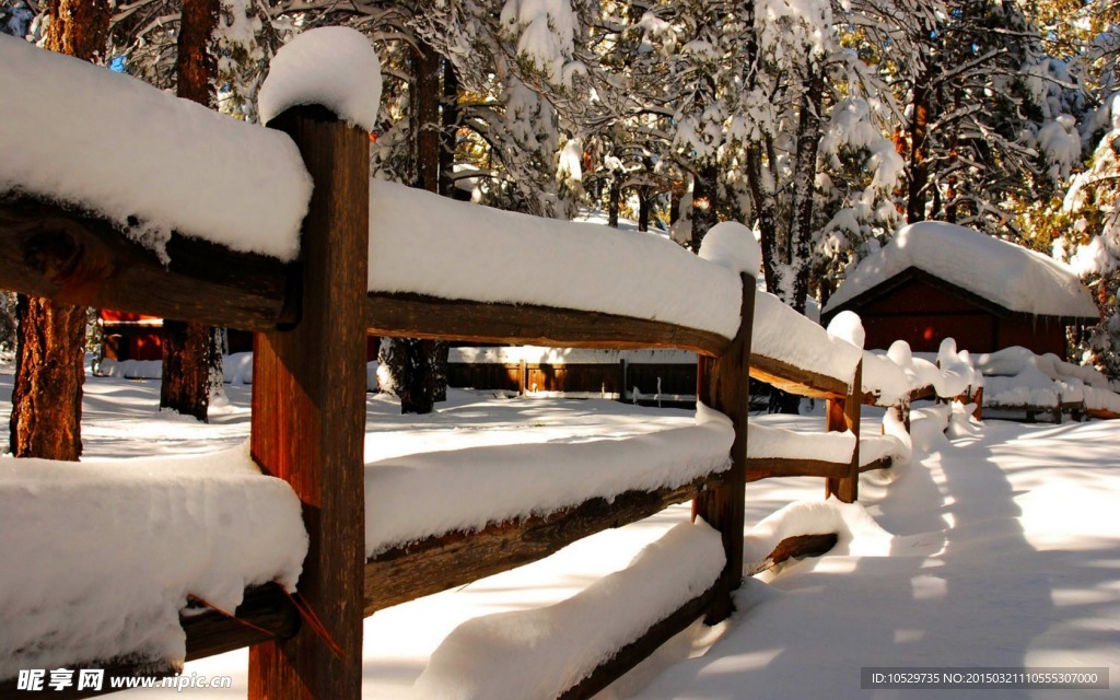 雪景