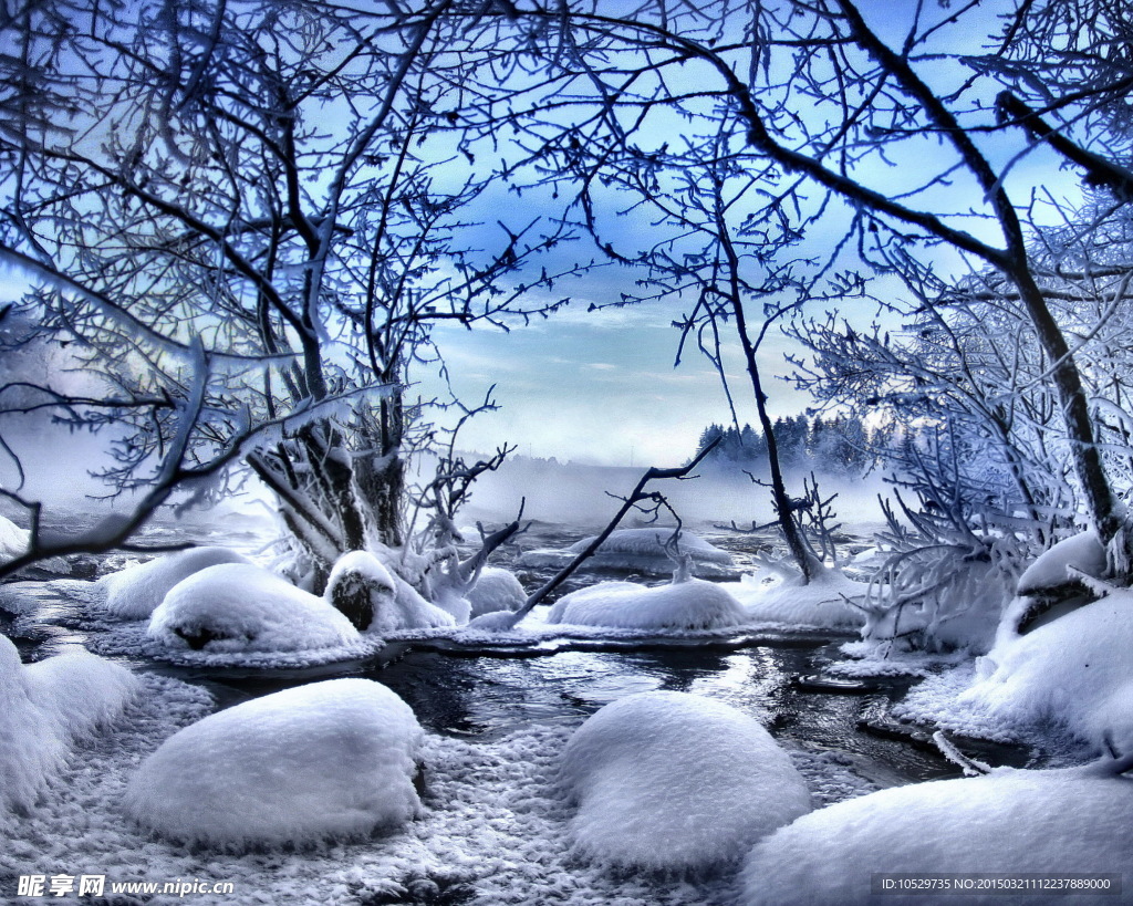 雪景