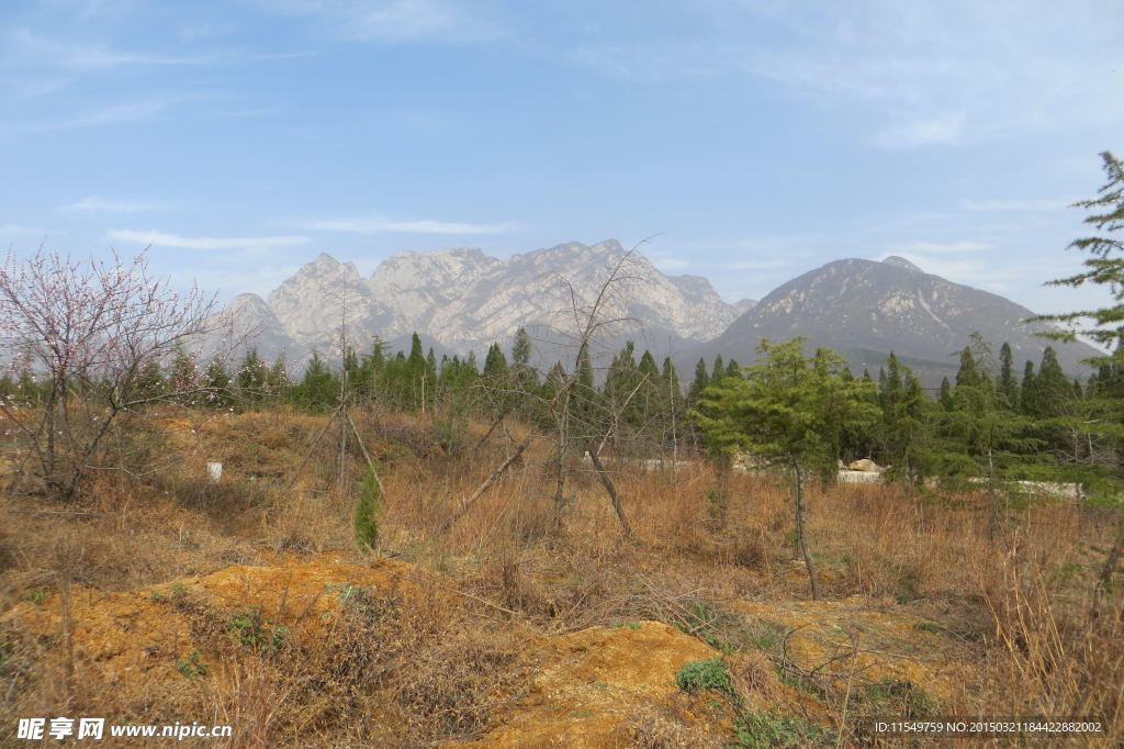 嵩山春季风景