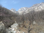 少室山春天