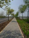 路