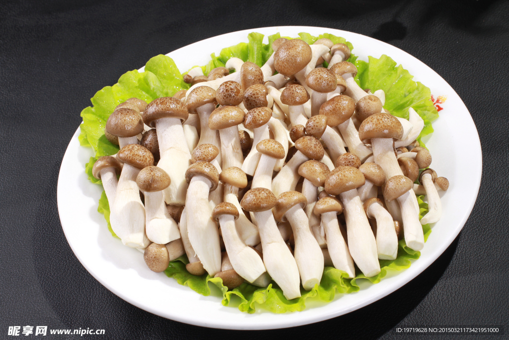 蟹味菇