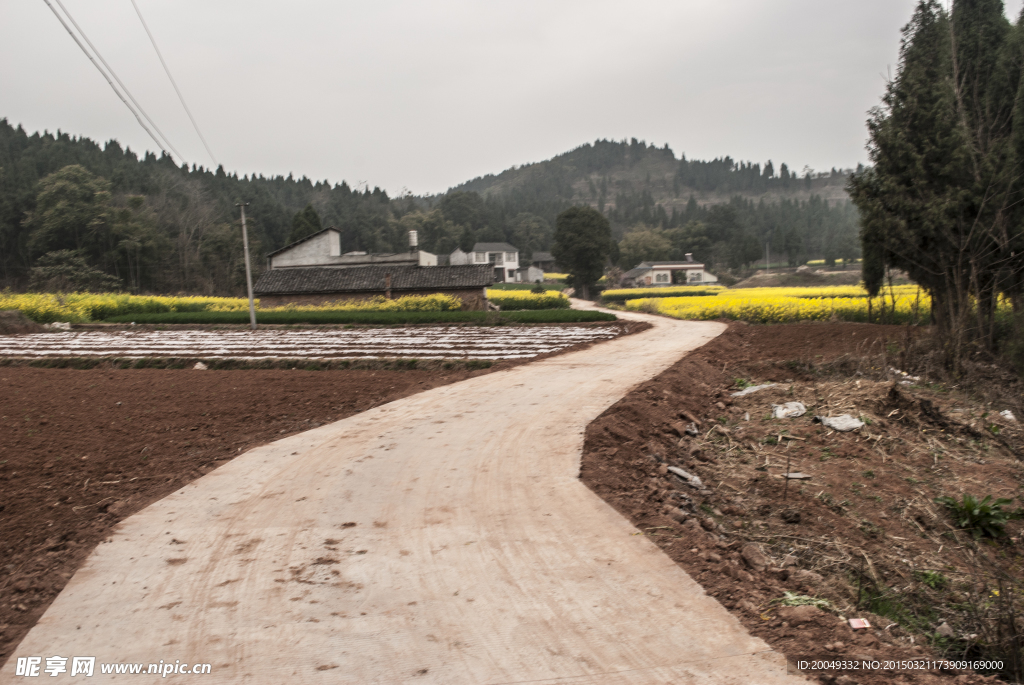 农村公路