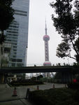 上海风景