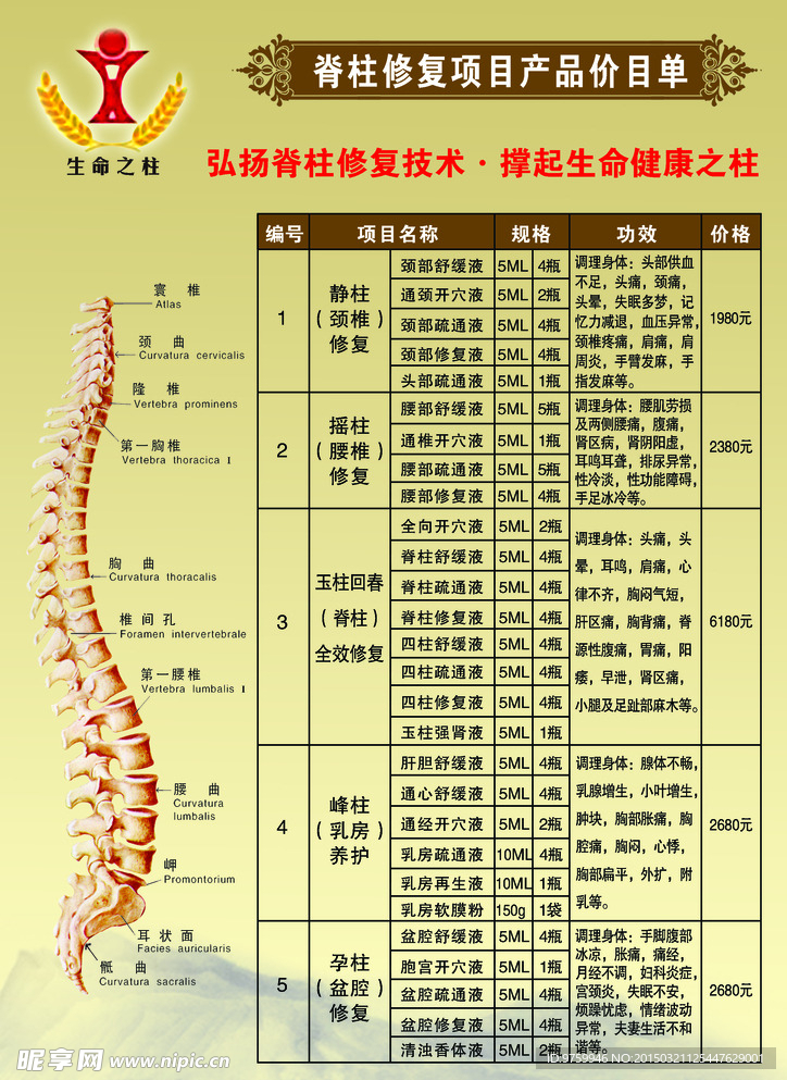 脊柱价目表