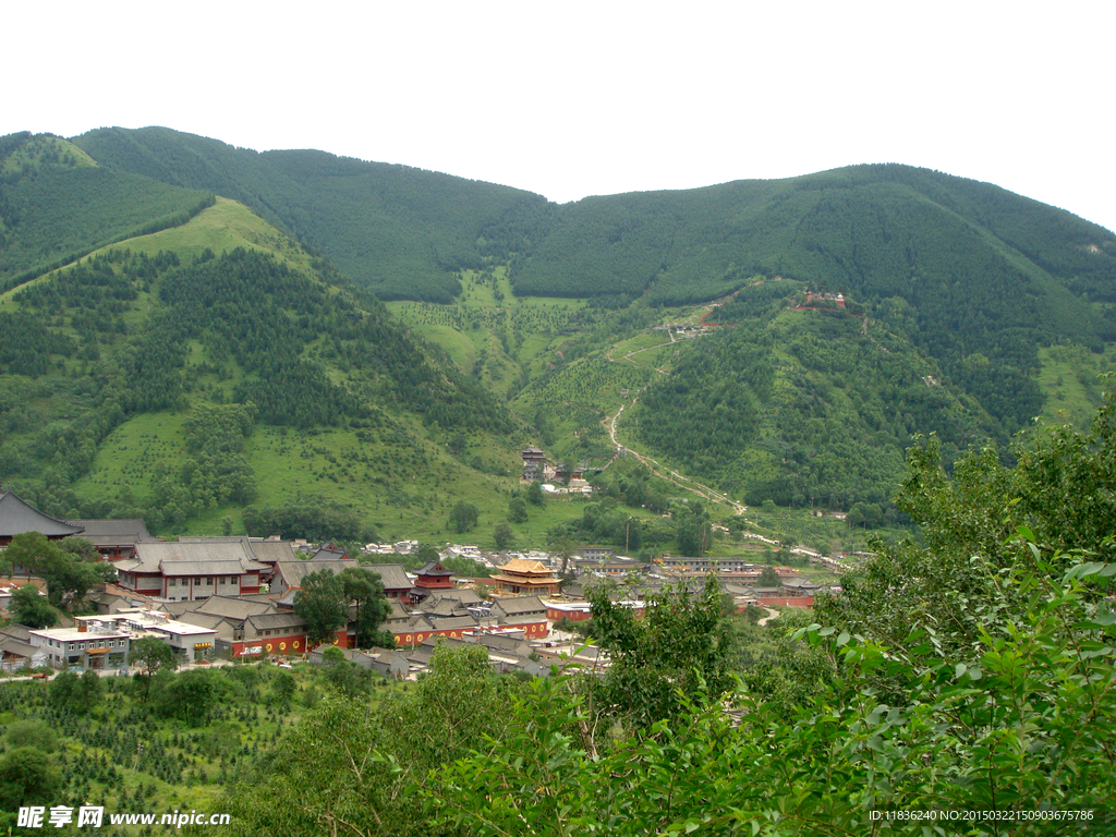 青山景观