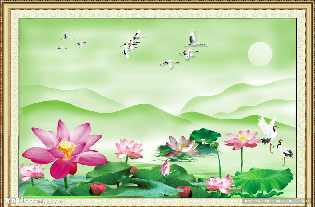 荷花风景