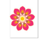 孔雀花