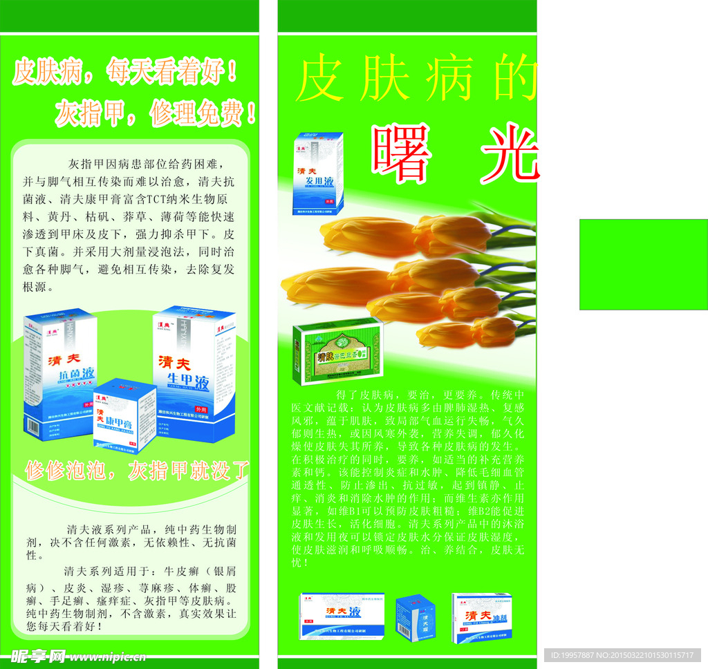 亮绿风格展架