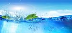 桶装水海报