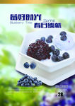 雪山蓝莓
