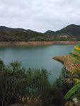 枫树坝水库