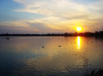 落日沙滩夕阳