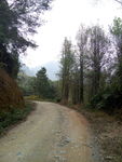 山路