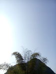 家乡的山