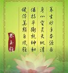 养生荷花