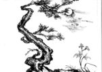 聚马凉石