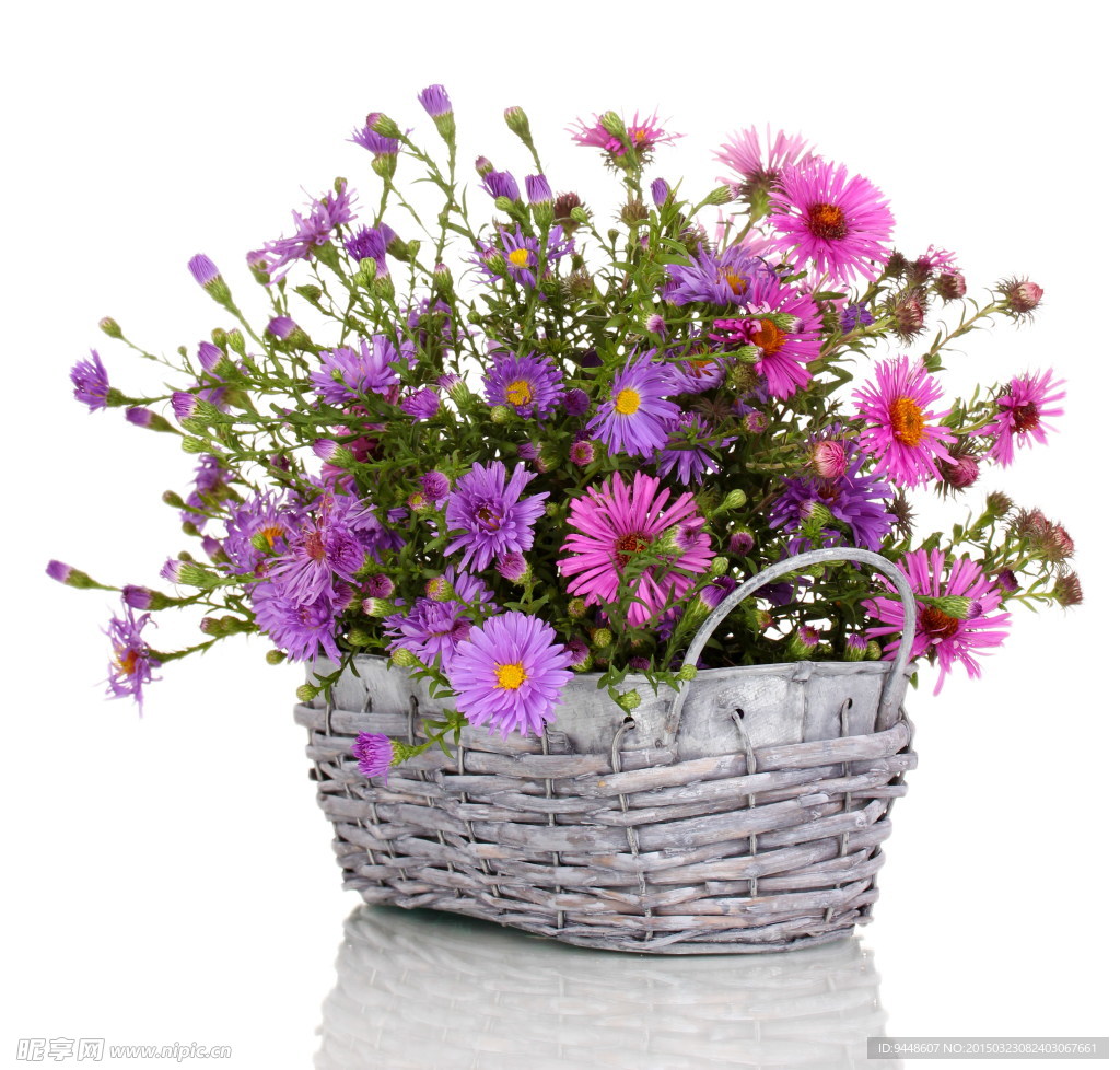 鲜花