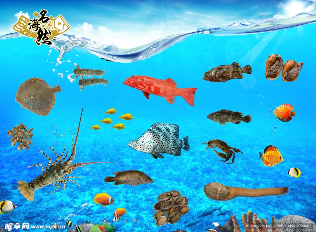 海鲜图