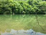 云台山樱桃湾
