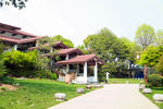 公园
