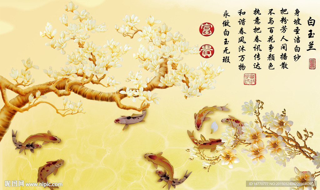 九鱼玉兰花