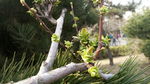 青岛中山公园