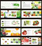 蔬菜水果肉类画册