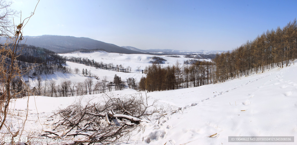 大山中的雪景