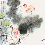 荷花