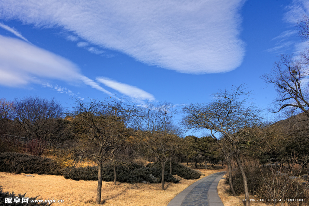 冬季风景