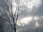 天空