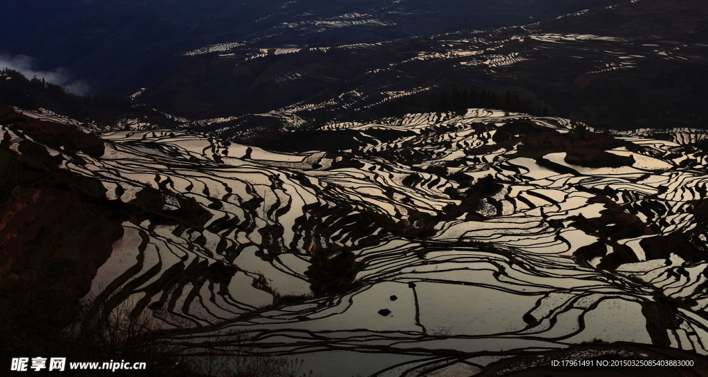 元阳梯田