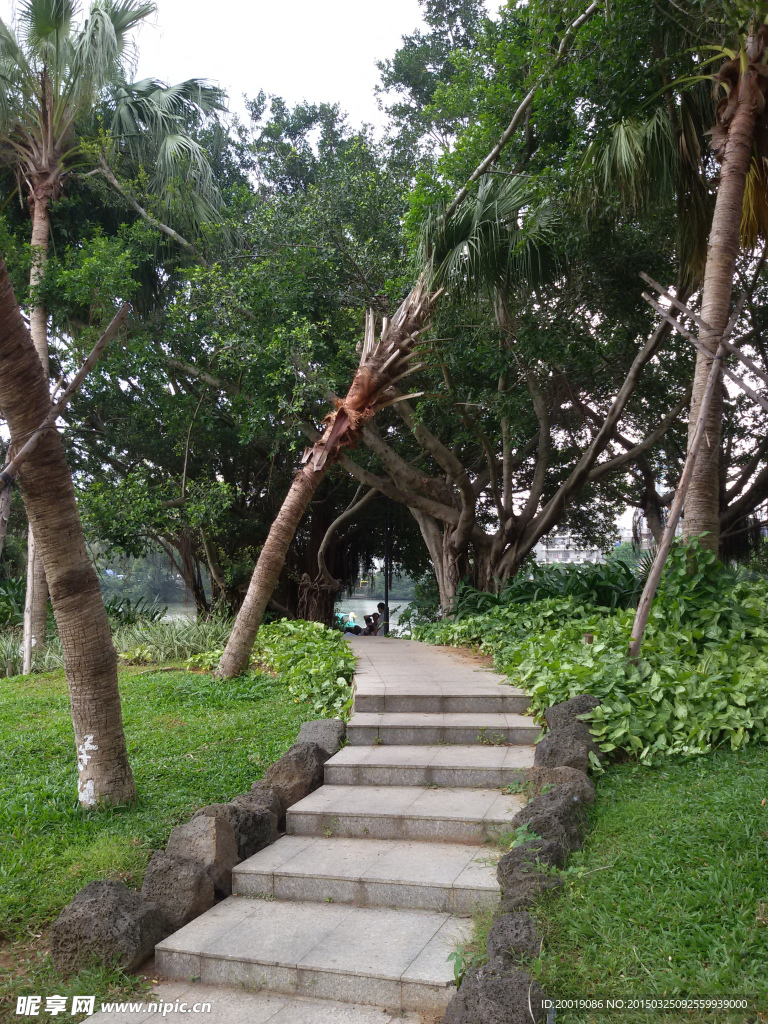 景观路
