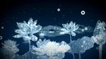 水晶荷花