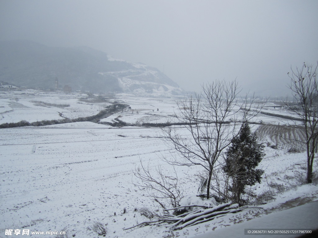 雪景 美丽雪景