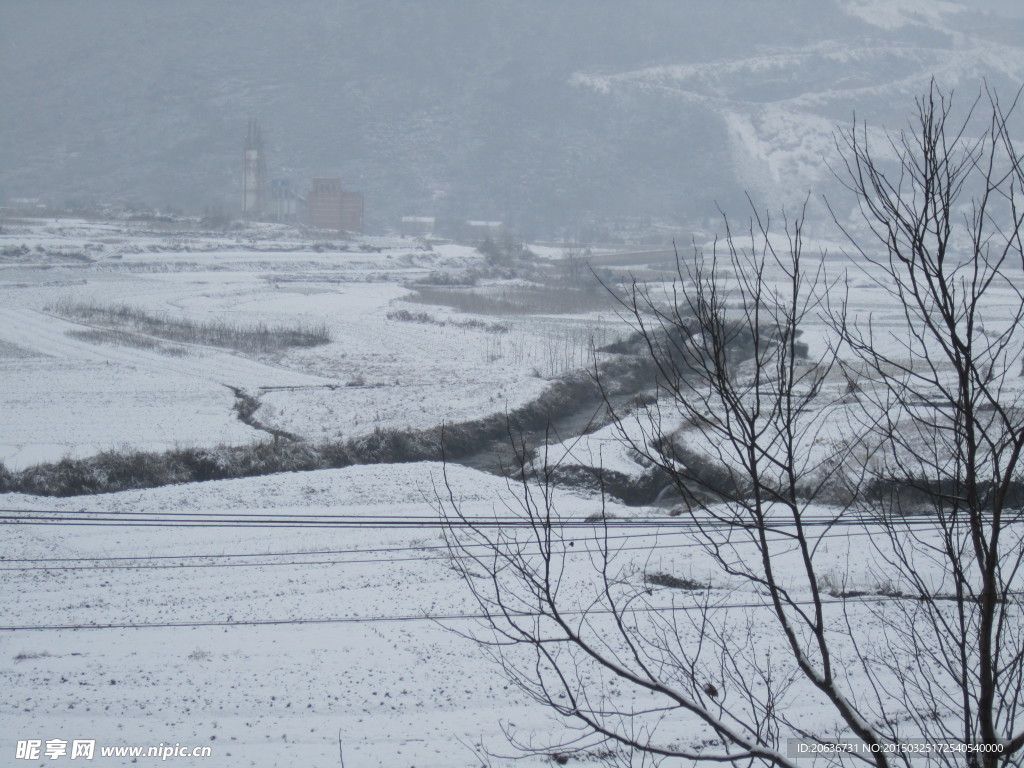 雪景 冬天雪景