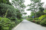 深圳街景