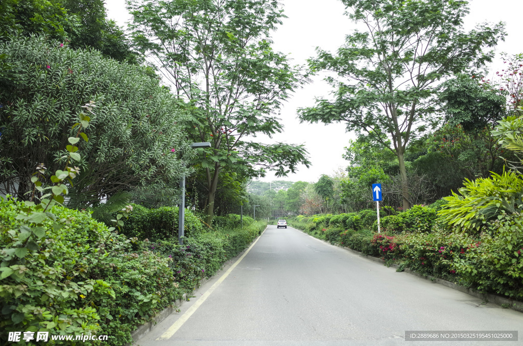 深圳街景