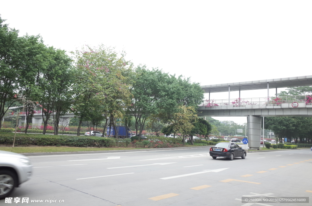 深圳街景