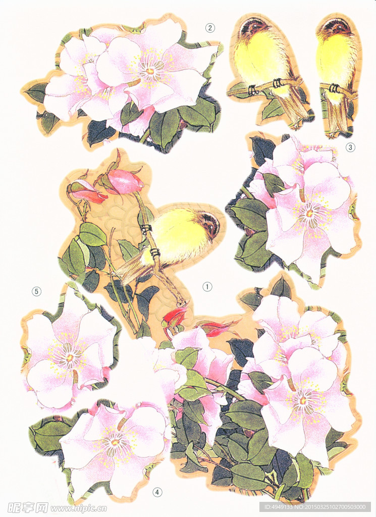中国扇画