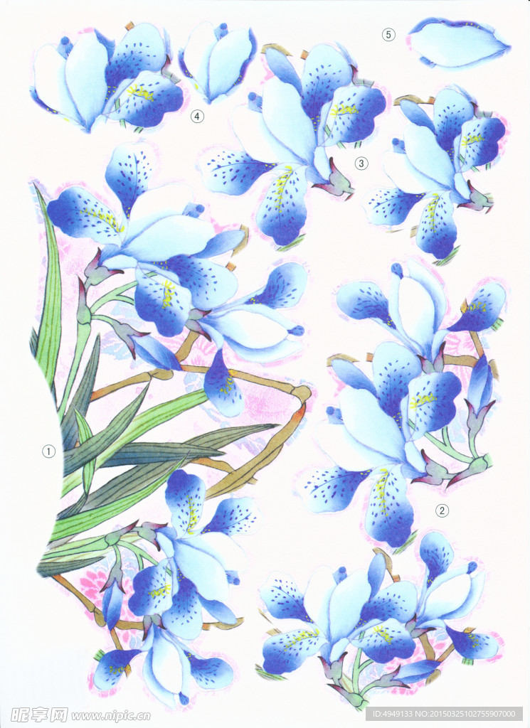中国扇画